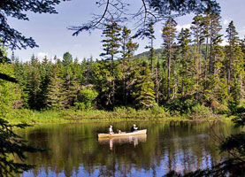 Pond Survey Project